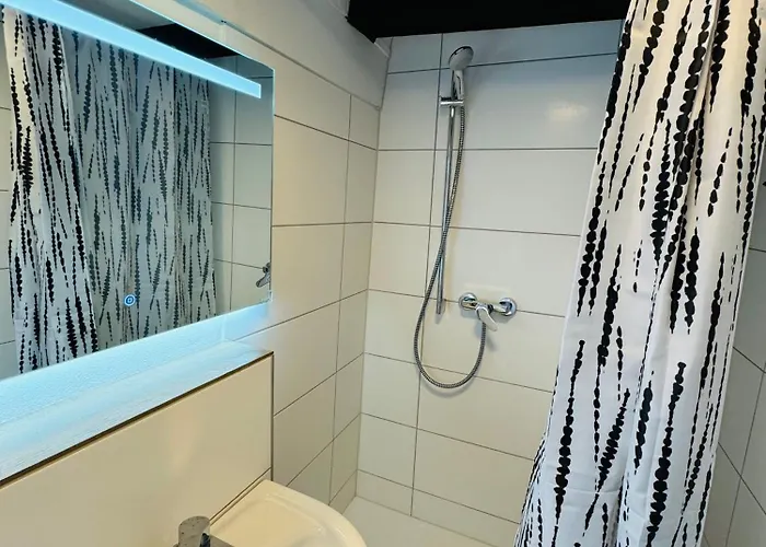 Loft Fluss Blick Koblenz (Rhineland-Palatinate)